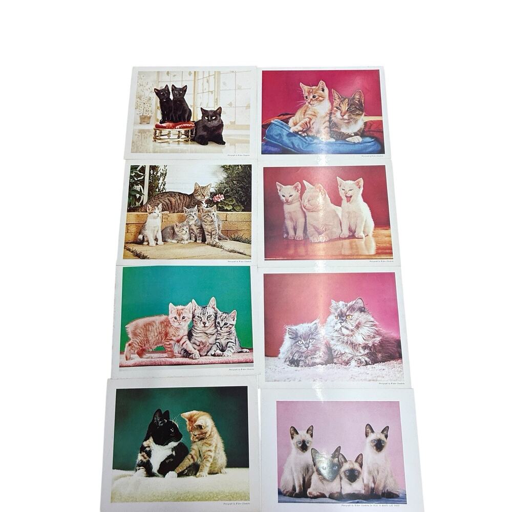 Walter Chandoha‎ 8 Cat Photography Puss 'N Boots Ad Prints Vintage